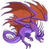 Unnamed dragon