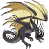 Unnamed dragon