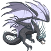 Unnamed dragon