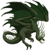 Unnamed dragon