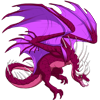 Unnamed dragon