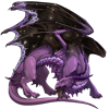 Unnamed dragon