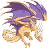 Unnamed dragon