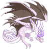 Unnamed dragon