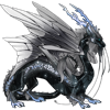 Unnamed dragon