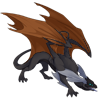 Unnamed dragon