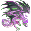 Unnamed dragon