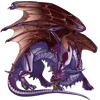 Unnamed dragon