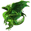 Unnamed dragon