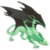 Unnamed dragon