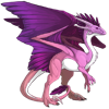 Unnamed dragon