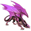 Unnamed dragon