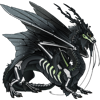 Unnamed dragon