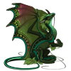 Unnamed dragon