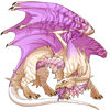 Unnamed dragon