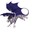 Unnamed dragon