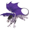 Unnamed dragon