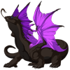 Unnamed dragon