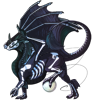 Unnamed dragon