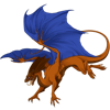 Unnamed dragon