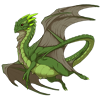 Unnamed dragon