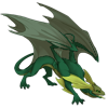 Unnamed dragon