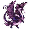 Unnamed dragon