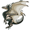 Unnamed dragon