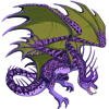 Unnamed dragon