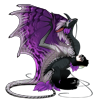 Unnamed dragon