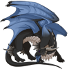 Unnamed dragon