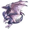 Unnamed dragon