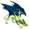 Unnamed dragon