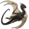 Unnamed dragon