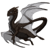 Unnamed dragon