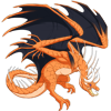 Unnamed dragon