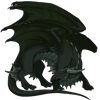 Unnamed dragon