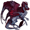 Unnamed dragon