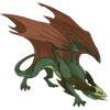 Unnamed dragon