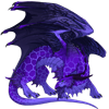 Unnamed dragon