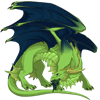 Unnamed dragon