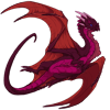 Unnamed dragon