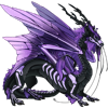 Unnamed dragon