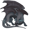 Unnamed dragon