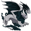 Unnamed dragon