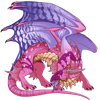 Unnamed dragon