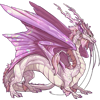 Unnamed dragon