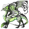 Unnamed dragon