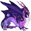 Unnamed dragon