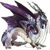 Unnamed dragon